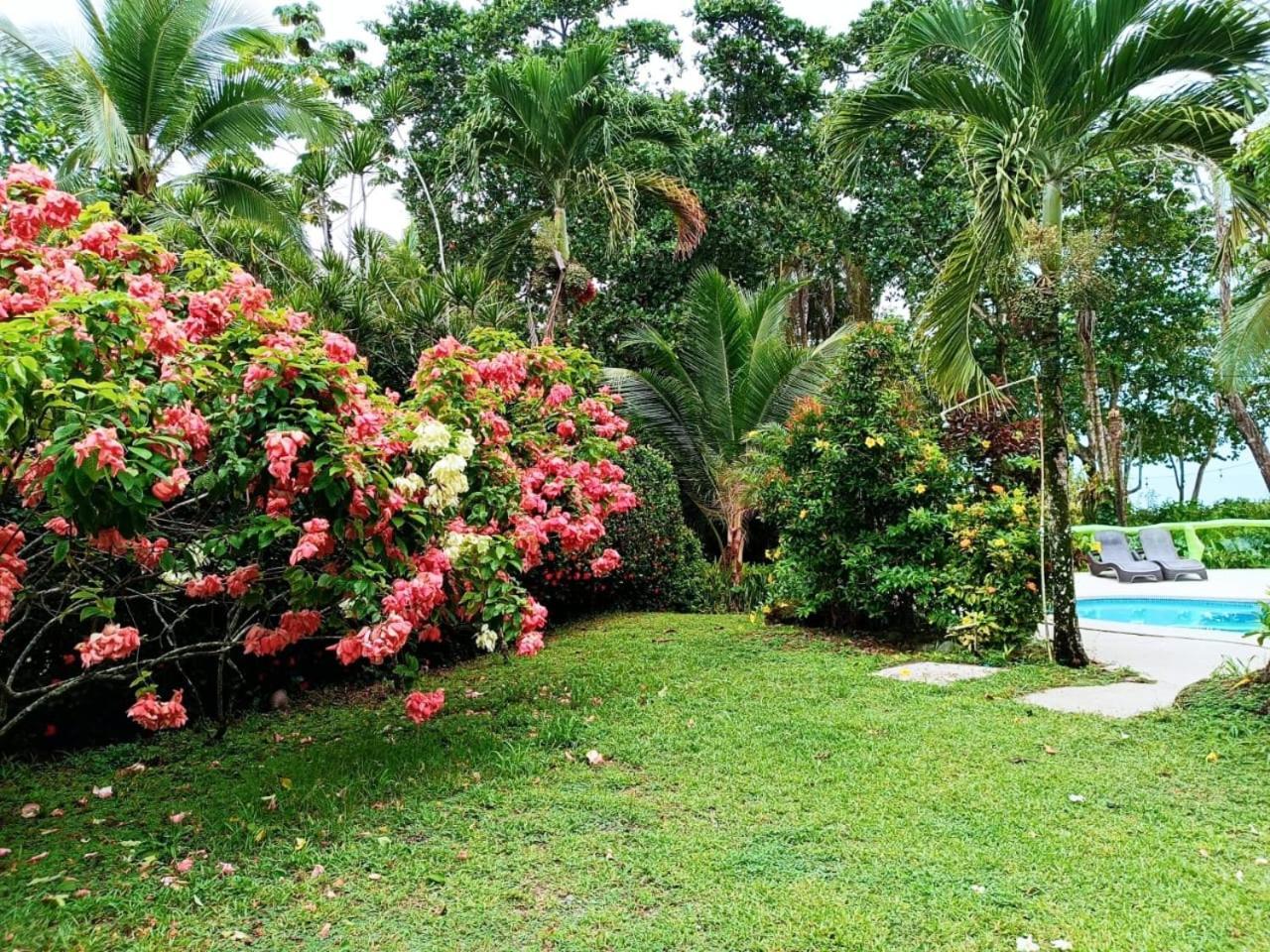 Hotel La Diosa Cahuita Eksteriør billede