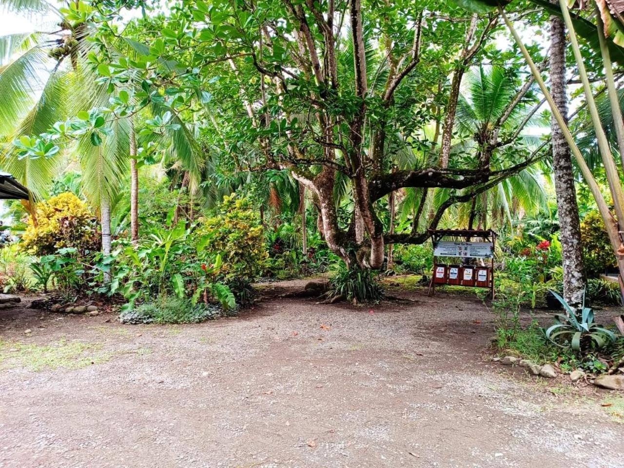 Hotel La Diosa Cahuita Eksteriør billede