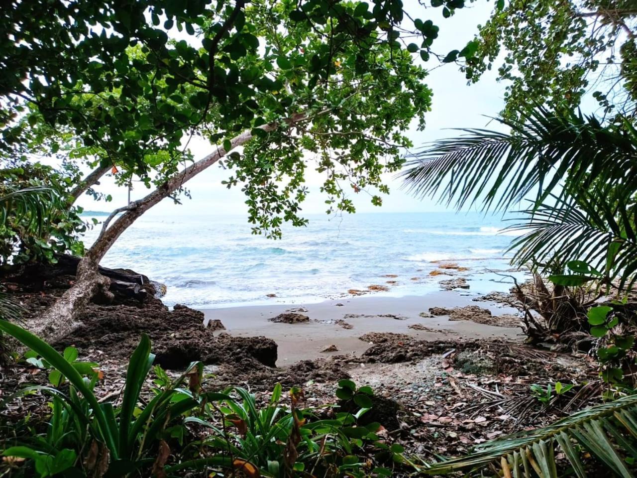 Hotel La Diosa Cahuita Eksteriør billede
