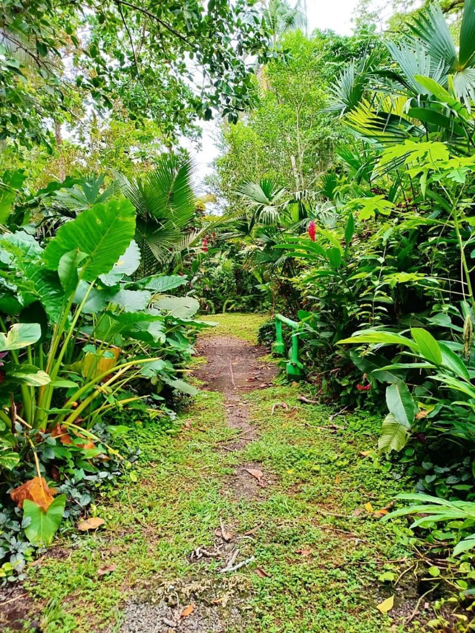 Hotel La Diosa Cahuita Eksteriør billede