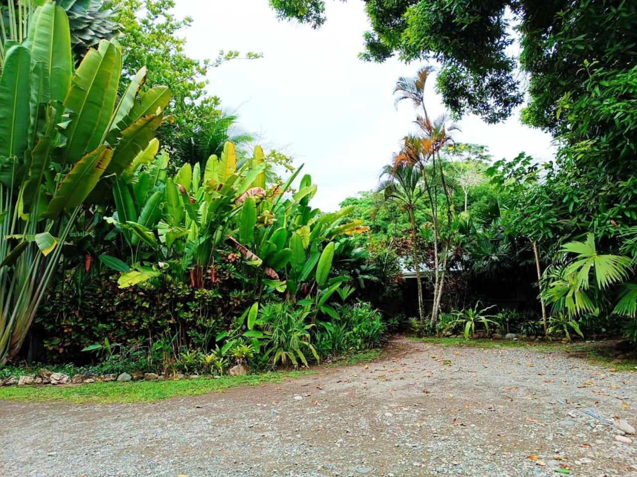 Hotel La Diosa Cahuita Eksteriør billede